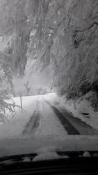 Zimske razmere v občini Kamnik do 10. ure 1